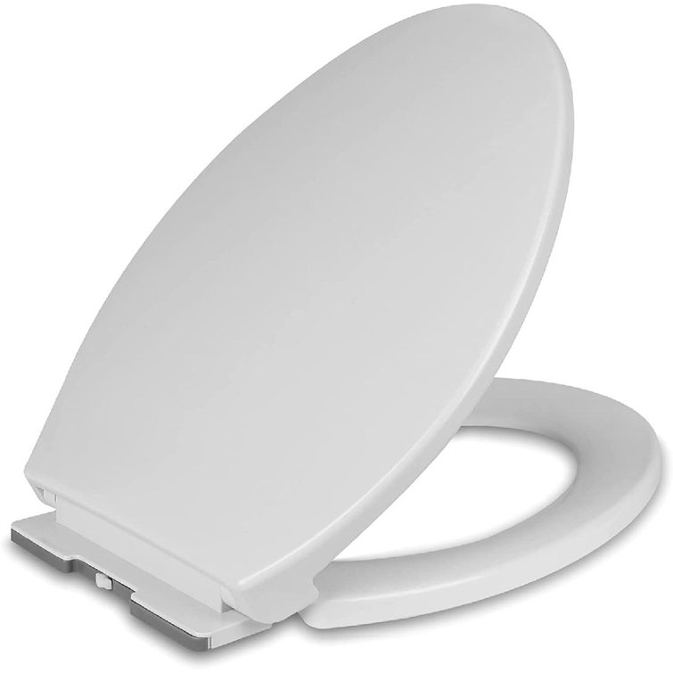 xinchapter Elongated Hard Toilet Seat Wayfair